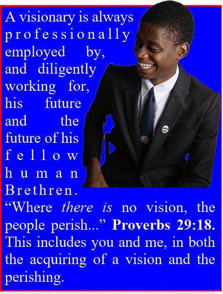 What is a visionary