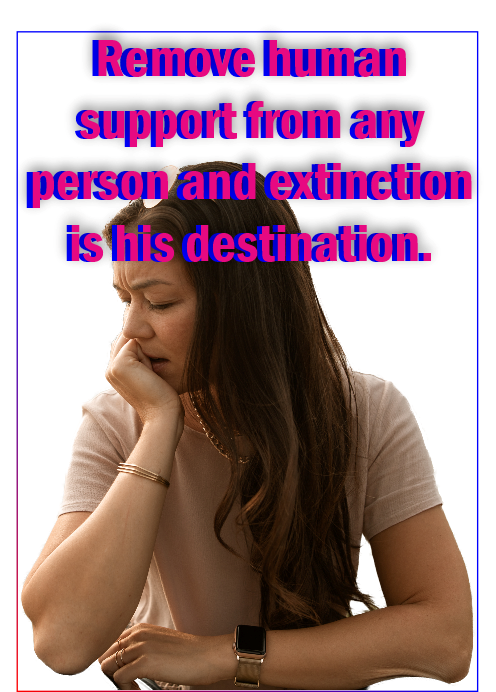 Remove human support and extinction is your destination!